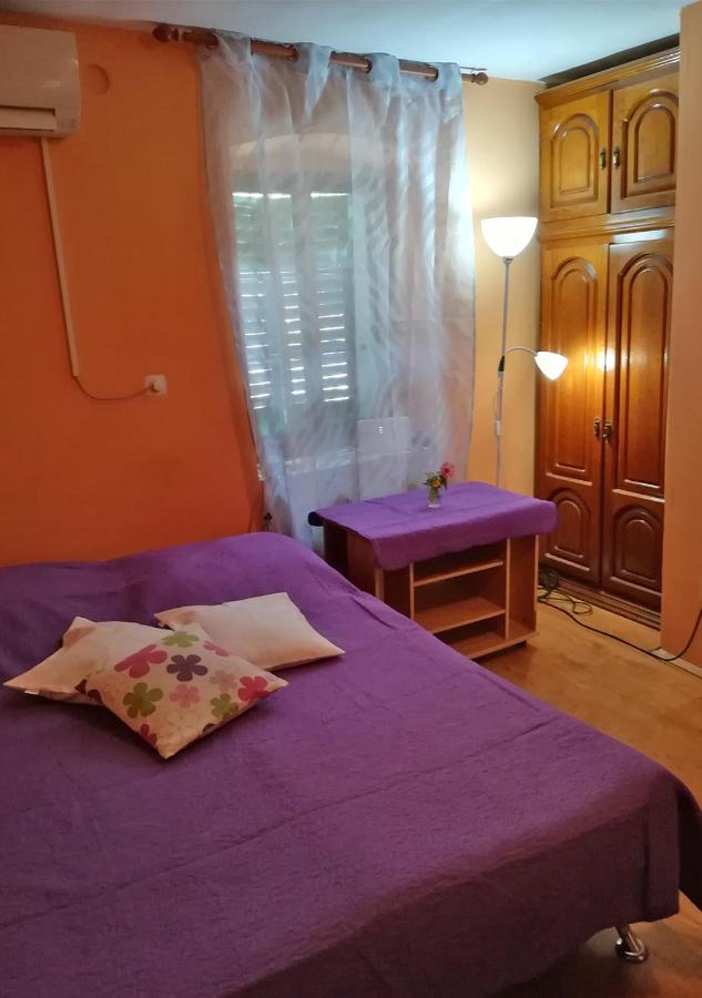 Apartment Surya روغوزنيكا المظهر الخارجي الصورة